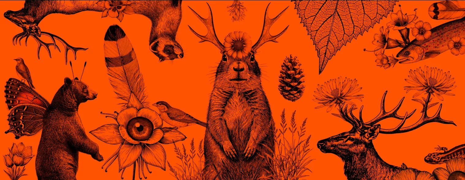 fondo con diseño de animales