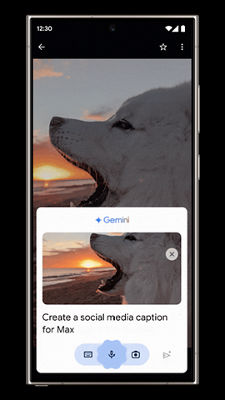 Foto de un perro en un teléfono android