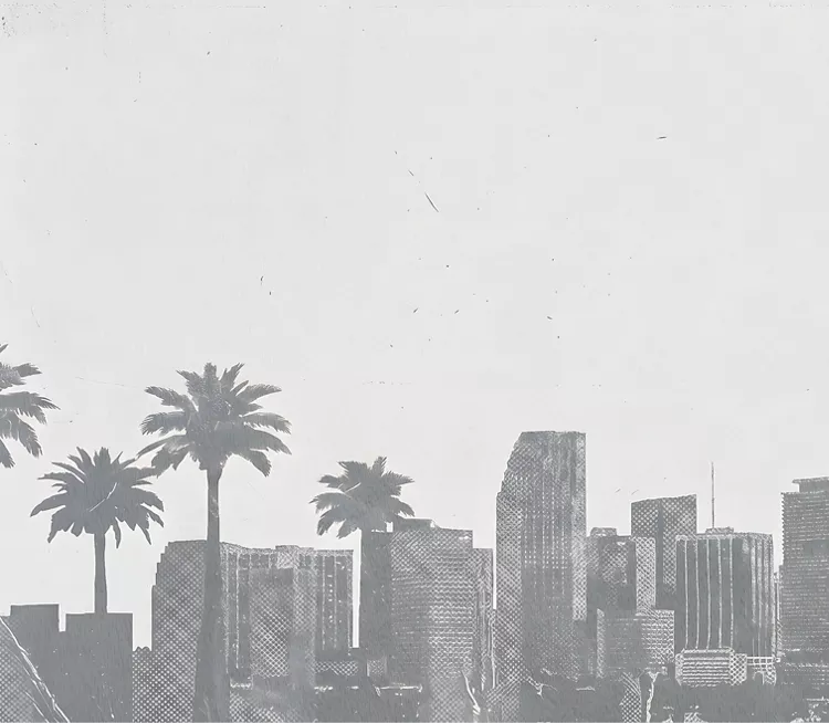 Fondo de palmeras grises