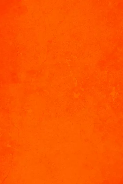 Tyson, fondo naranja